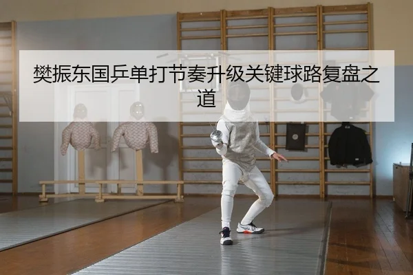 樊振东国乒单打节奏升级关键球路复盘之道